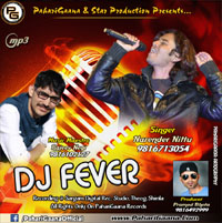 Dj Fever